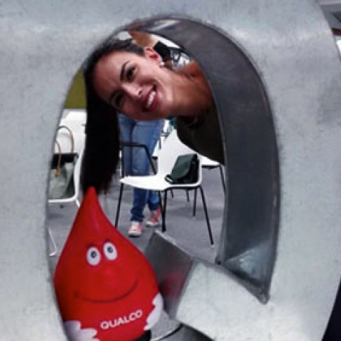 Qualco Role Box Image